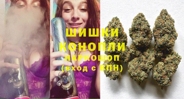 гашик Арсеньев