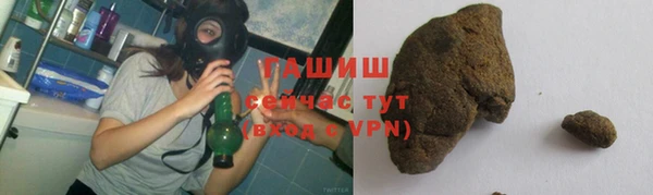 гашик Арсеньев