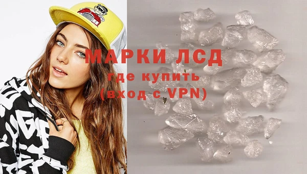 гашик Арсеньев